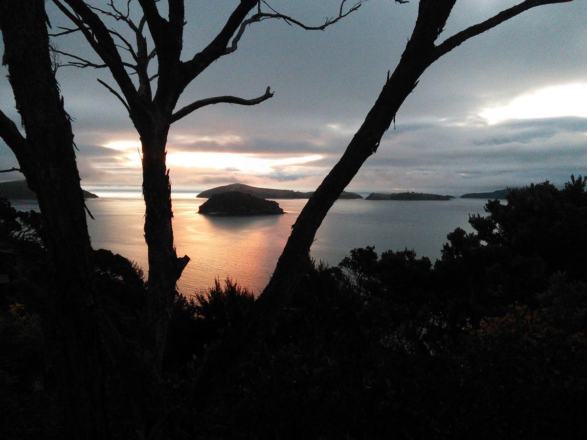 Coromandel Island View Experienceヴィラ エクステリア 写真